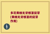 多花黄精无牙根茎促芽(黄精无牙根茎的促芽作用)