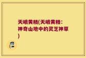 天峨黄精(天峨黄精：神奇山地中的灵芝神草)