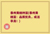 泰州黄精种苗(泰州黄精苗：品质优良，成活率高！)