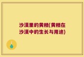 沙漠里的黄精(黄精在沙漠中的生长与用途)