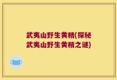 武夷山野生黄精(探秘武夷山野生黄精之谜)