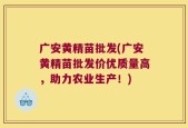 广安黄精苗批发(广安黄精苗批发价优质量高，助力农业生产！)