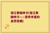 澄江黄精种子(澄江黄精种子——营养丰富的自然宝藏)