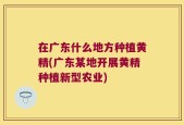 在广东什么地方种植黄精(广东某地开展黄精种植新型农业)