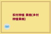 农村种植 黄精(乡村种植黄精)