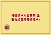 种植技术大全黄精(全面介绍黄精种植技术)