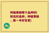 种植黄精哪个品种好(挑选好品种，种植黄精，做一手好生意)