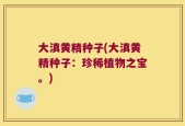 大滇黄精种子(大滇黄精种子：珍稀植物之宝。)