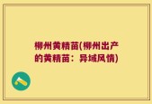 柳州黄精苗(柳州出产的黄精苗：异域风情)