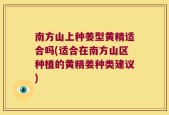 南方山上种姜型黄精适合吗(适合在南方山区种植的黄精姜种类建议)