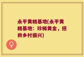 永平黄精基地(永平黄精基地：珍稀黄金，拯救乡村振兴)