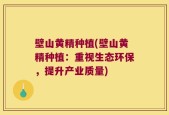 壁山黄精种植(壁山黄精种植：重视生态环保，提升产业质量)