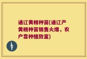 通辽黄精种苗(通辽产黄精种苗销售火爆，农户靠种植致富)