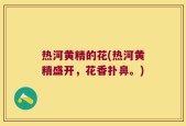 热河黄精的花(热河黄精盛开，花香扑鼻。)