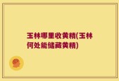 玉林哪里收黄精(玉林何处能储藏黄精)