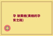 孕 制黄精(黄精的孕育之路)