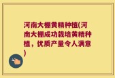河南大棚黄精种植(河南大棚成功栽培黄精种植，优质产量令人满意)