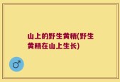 山上的野生黄精(野生黄精在山上生长)