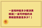 一亩地种植多少棵滇黄精苗(一亩可种植的滇黄精苗数量是多少？)