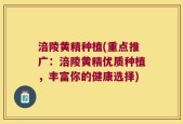 涪陵黄精种植(重点推广：涪陵黄精优质种植，丰富你的健康选择)