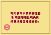 略阳县鸡头黄精种植基地(陕西略阳县鸡头黄精基地开垦规模升级)