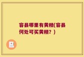 容县哪里有黄精(容县何处可买黄精？)