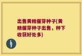 出售黄精催芽种子(黄精催芽种子出售，种下收获好处多)