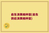 启东滇黄精种苗(启东供应滇黄精种苗)