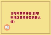 日喀则黄精种苗(日喀则地区黄精种苗销售火爆)