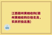 江西赣州黄精收购(赣州黄精收购价格走高，农民积极出售)