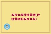 农民大叔种植黄精(种植黄精的农民大叔)