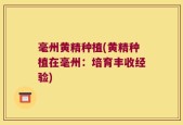 毫州黄精种植(黄精种植在毫州：培育丰收经验)