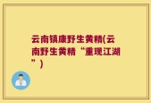云南镇康野生黄精(云南野生黄精“重现江湖”)