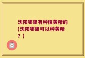 沈阳哪里有种植黄精的(沈阳哪里可以种黄精？)