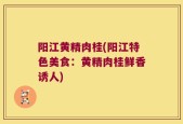 阳江黄精肉桂(阳江特色美食：黄精肉桂鲜香诱人)