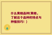 什么黄精品种(黄精，了解这个品种的特点与种植技巧！)