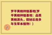罗平黄精种植基地(罗平黄精种植基地：品质黄精源头，探秘云南多年生草本植物！)