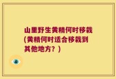 山里野生黄精何时移栽(黄精何时适合移栽到其他地方？)