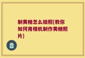 制黄精怎么拍照(教你如何用相机制作黄精照片)