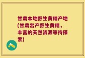 甘肃本地野生黄精产地(甘肃出产野生黄精，丰富的天然资源等待探索)