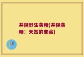 井陉野生黄精(井陉黄精：天然的宝藏)