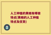 人工种植的黄精有哪些特点(黄精的人工种植特点及优势)