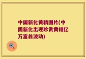 中国新化黄精图片(中国新化出现珍贵黄精亿万富翁波动)
