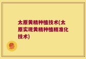太原黄精种植技术(太原实现黄精种植精准化技术)