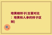 地黄精样子(古董对比：地黄和人参的样子区别)
