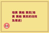 地黄 黄精 黄芪(地黄 黄精 黄芪的功效及用途)