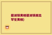 碧湖镇黄精碧湖镇掘出罕见黄精)