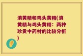 滇黄精和鸡头黄精(滇黄精与鸡头黄精：两种珍贵中药材的比较分析)