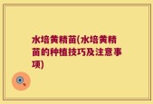 水培黄精苗(水培黄精苗的种植技巧及注意事项)