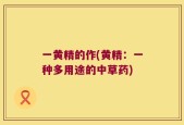 一黄精的作(黄精：一种多用途的中草药)